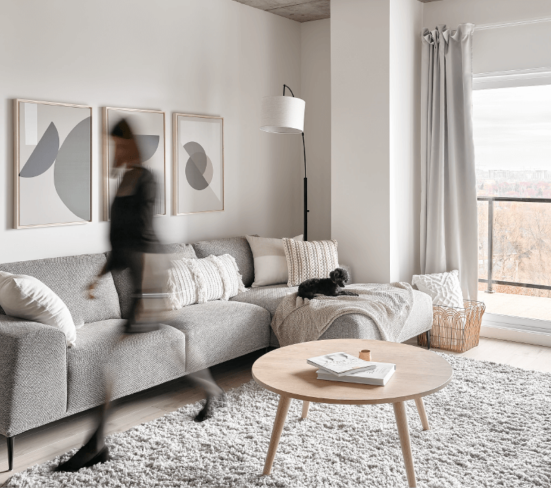 Visuels - Galerie images-quartier-anastasie-phase 2-1