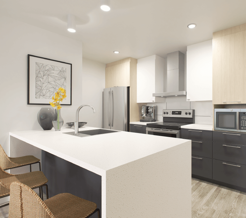 Visuels - Galeries images-1 (1)